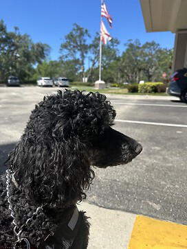 Gabe Volunteering At A Local Hospital