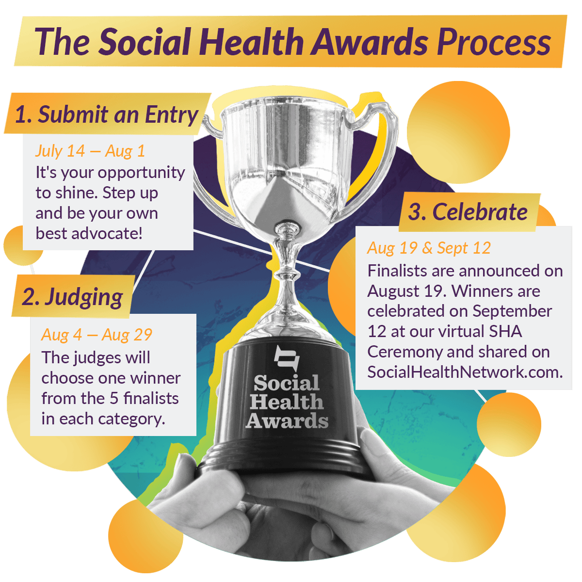 The Social Health Awards Timeline Infographic